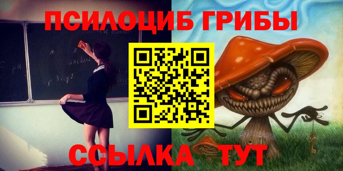 Подольск  где найти наркотики  Вход с VPN  Галлюциногенные грибы Psilocybine cubensis  Псилоцибиновые грибы GOLDEN TEACHER 